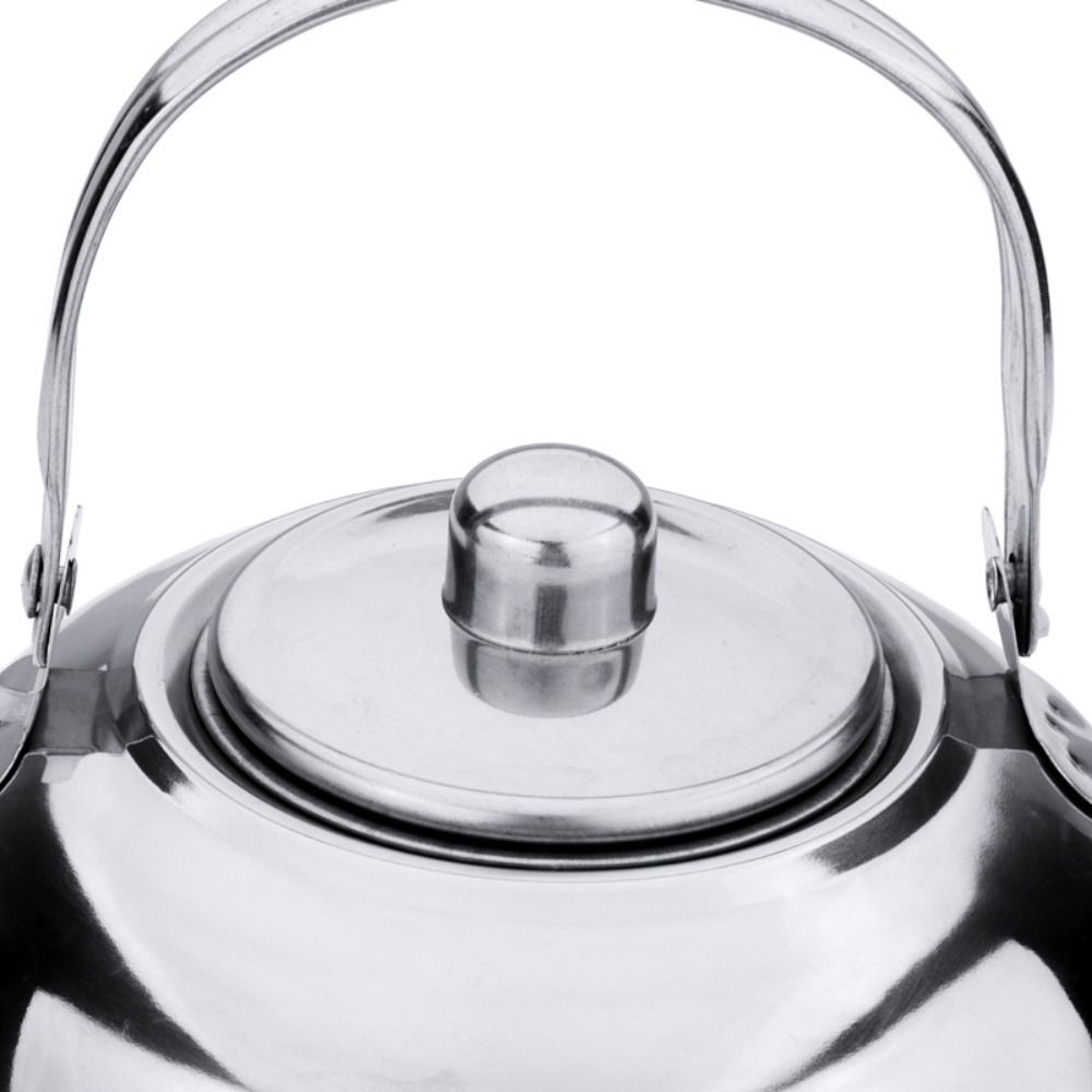 Draagbare roestvrijstalen wate - Coffee Tea Water Heater recensie en prijs